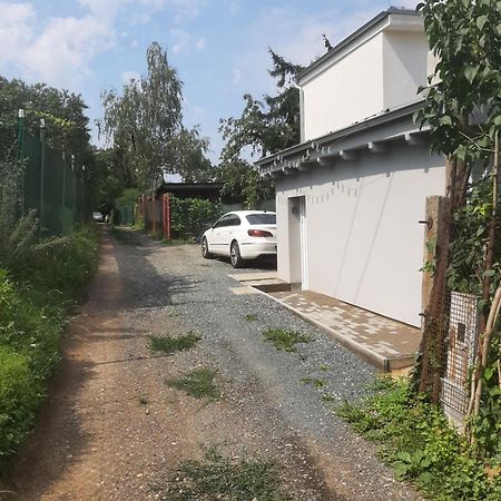 Dum V Brne Apartment Brno Bagian luar foto