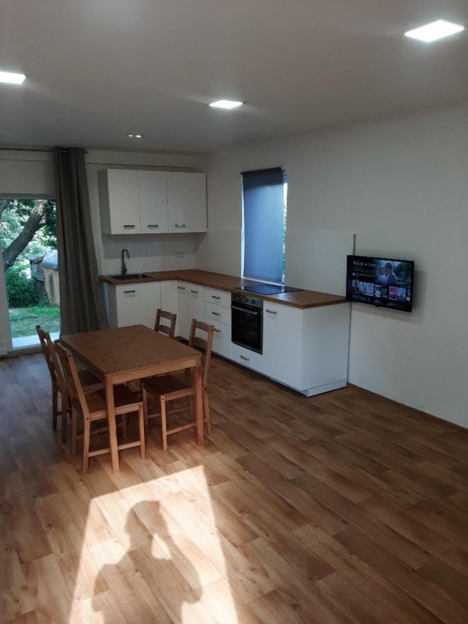 Dum V Brne Apartment Brno Bagian luar foto