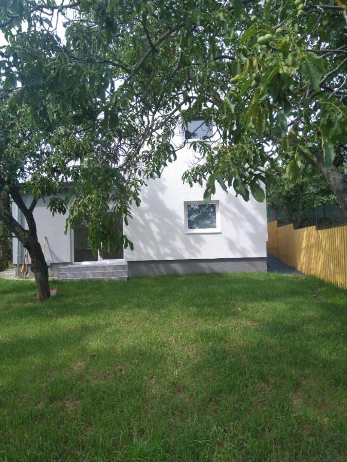Dum V Brne Apartment Brno Bagian luar foto