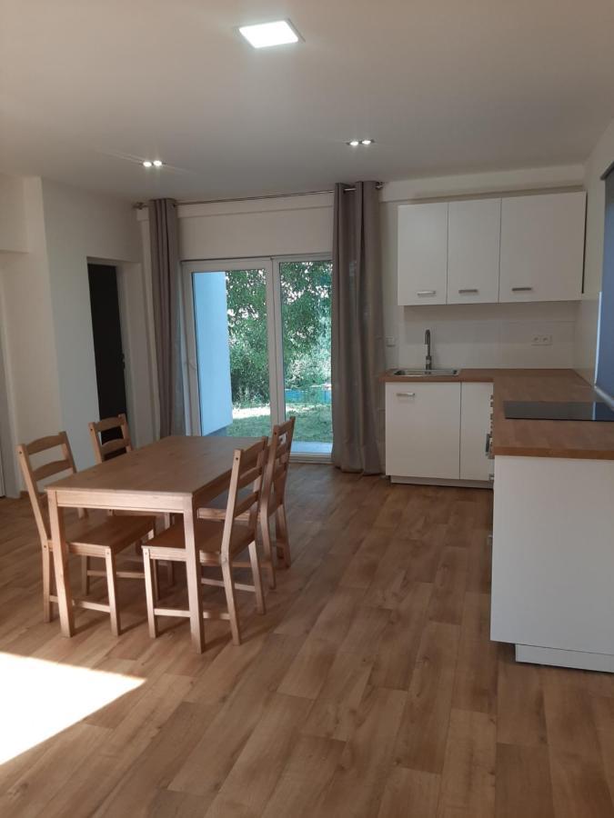 Dum V Brne Apartment Brno Bagian luar foto