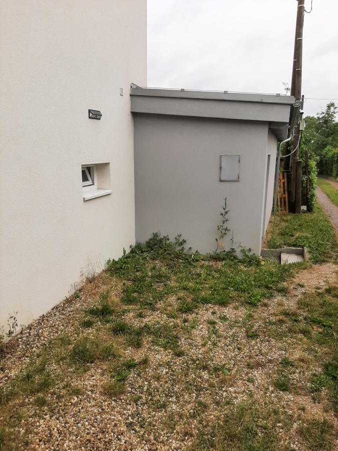 Dum V Brne Apartment Brno Bagian luar foto